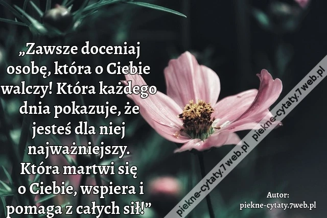 „Zawsze doceniaj osobę,  która o Ciebie walczy! Która każdego dnia pokazuje, że jesteś dla niej najważniejszy. Która martwi się o Ciebie, wspiera i pomaga z całych sił!”