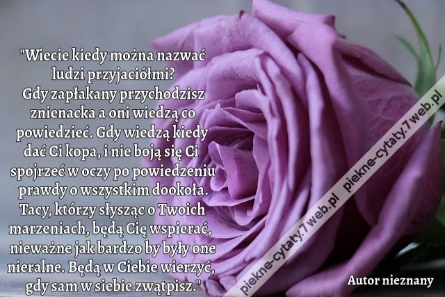 &quot;Wiecie kiedy można nazwać ludzi przyjaciółmi? Gdy zapłakany przychodzisz znienacka a oni wiedzą co powiedzieć. Gdy wiedzą kiedy dać Ci kopa, i nie boją się Ci spojrzeć w oczy po powiedzeniu prawdy o wszystkim dookoła. Tacy, którzy słysząc o Twoich marzen