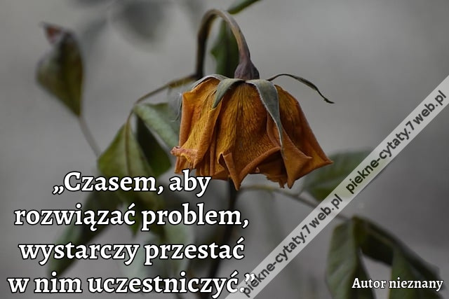„Czasem, aby rozwiązać problem, wystarczy przestać w nim uczestniczyć.”