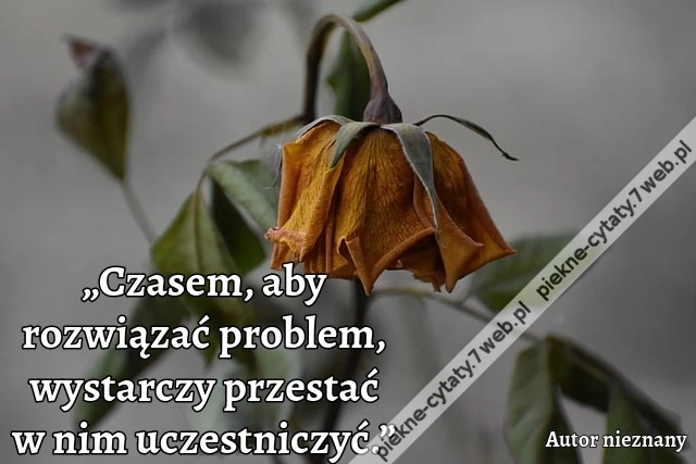 „Czasem, aby rozwiązać problem, wystarczy przestać w nim uczestniczyć.”
