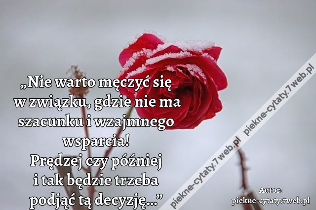 „Nie warto męczyć się w związku, gdzie nie ma szacunku i wzajmnego wsparcia! Prędzej czy później i tak będzie trzeba podjąć tą decyzję…”