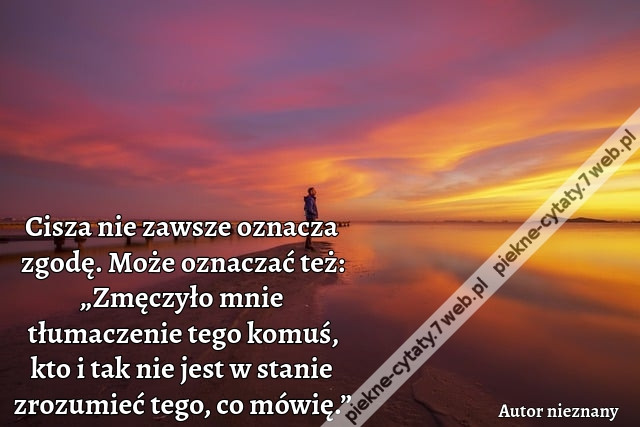 Cisza nie zawsze oznacza zgodę. Może oznaczać też: „Zmęczyło mnie tłumaczenie tego komuś, kto i tak nie jest w stanie zrozumieć tego, co mówię.”