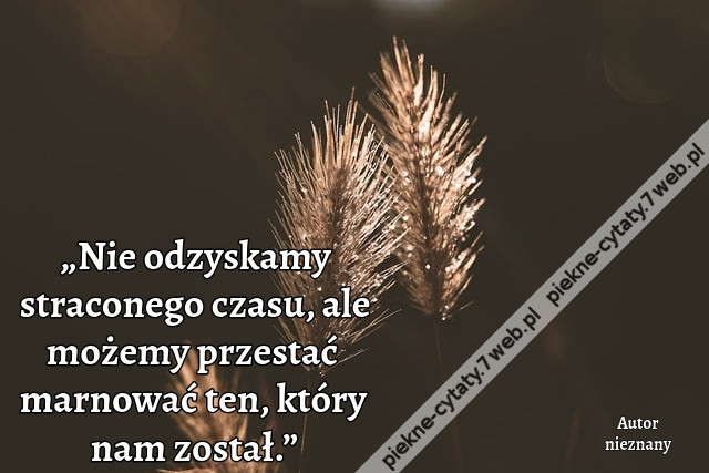 „Nie odzyskamy straconego czasu, ale możemy przestać marnować ten, który nam został.”
