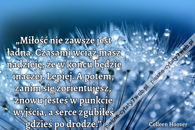 „Miłość nie zawsze jest ładna. Czasami wciąż masz nadzieję, że w końcu będzie inaczej. Lepiej. A potem, zanim się zorientujesz, znowu jesteś w punkcie wyjścia, a serce zgubiłeś gdzieś po drodze.”