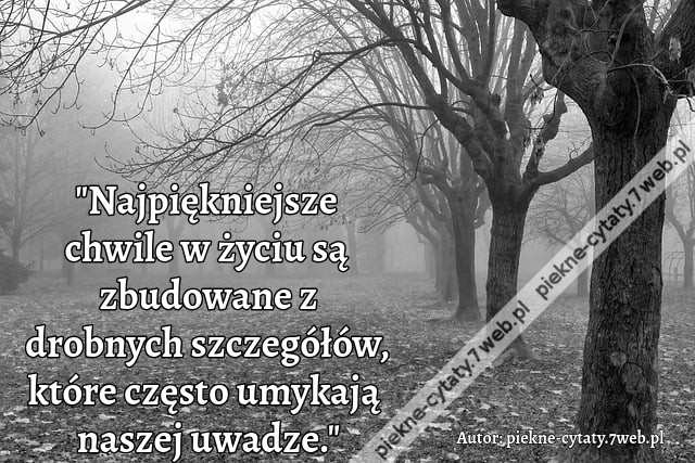 &quot;Najpiękniejsze chwile w życiu są zbudowane z drobnych szczegółów, które często umykają naszej uwadze.&quot;