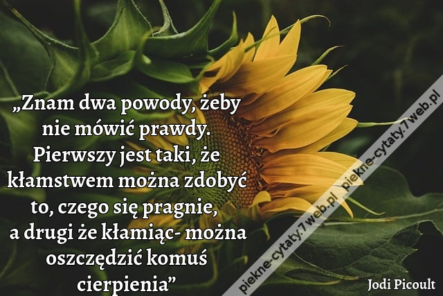 „Znam dwa powody, żeby nie mówić prawdy. Pierwszy jest taki, że kłamstwem można zdobyć to, czego się pragnie, a drugi że kłamiąc- można oszczędzić komuś cierpienia”