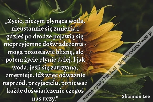 „Życie, niczym płynąca woda, nieustannie się zmienia i gdzieś po drodze pojawią się nieprzyjemne doświadczenia - mogą pozostawić bliznę, ale potem życie płynie dalej. I jak woda, jeśli się zatrzyma, zmętnieje. Idź więc odważnie naprzód, przyjacielu, ponie
