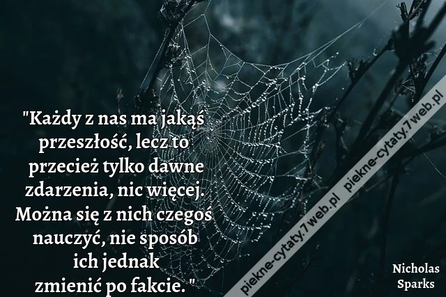 &quot;Każdy z nas ma jakąś przeszłość, lecz to przecież tylko dawne zdarzenia, nic więcej. Można się z nich czegoś nauczyć, nie sposób ich jednak zmienić po fakcie.&quot;
