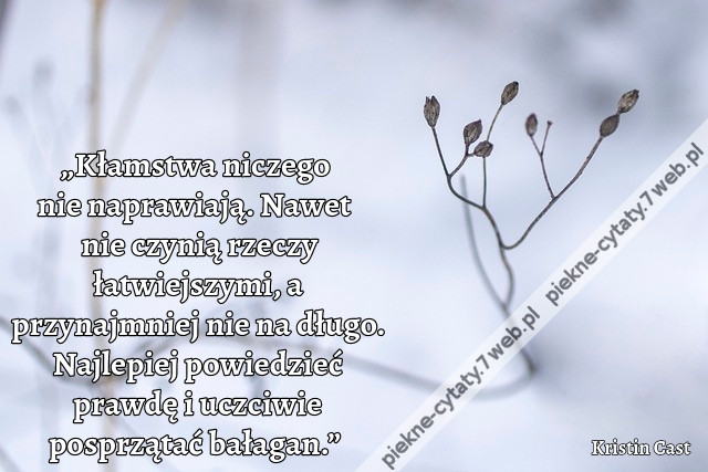 „Kłamstwa niczego nie naprawiają. Nawet nie czynią rzeczy łatwiejszymi, a przynajmniej nie na długo. Najlepiej powiedzieć prawdę i uczciwie posprzątać bałagan.”