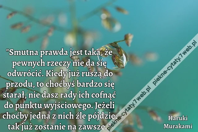 Smutna prawda jest taka, że pewnych rzeczy nie da się odwrócić. Kiedy już ruszą do przodu, to choćbyś bardzo się starał, nie dasz rady ich cofnąć do punktu wyjściowego. Jeżeli choćby jedna z nich źle pójdzie, tak już zostanie na zawsze.