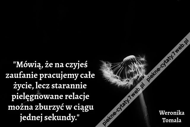 &quot;Mówią, że na czyjeś zaufanie pracujemy całe życie, lecz starannie pielęgnowane relacje można zburzyć w ciągu jednej sekundy.&quot;