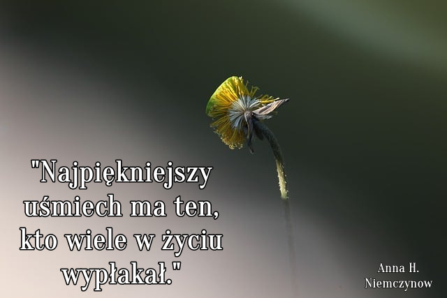 Najpiękniejszy uśmiech ma ten, kto wiele w życiu wypłakał.