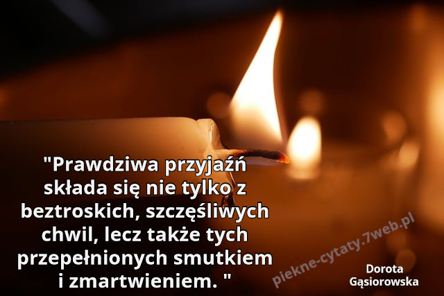"Prawdziwa przyjaźń składa się nie tylko z beztroskich, szczęśliwych chwil, lecz także tych przepełnionych smutkiem i zmartwieniem. "