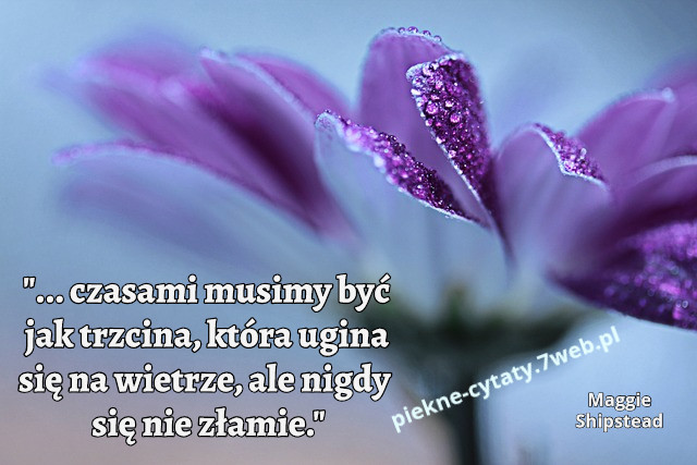 "... czasami musimy być jak trzcina, która ugina się na wietrze, ale nigdy się nie złamie."