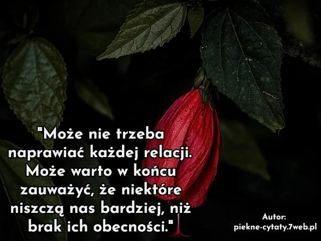 Może nie trzeba naprawiać każdej relacji. Może warto w końcu zauważyć, że niektóre niszczą nas bardziej, niż brak ich obecności.