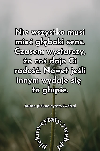 "Nie wszystko musi mieć głęboki sens. Czasem wystarczy, że coś daje Ci radość. Nawet jeśli innym wydaje się to głupie"