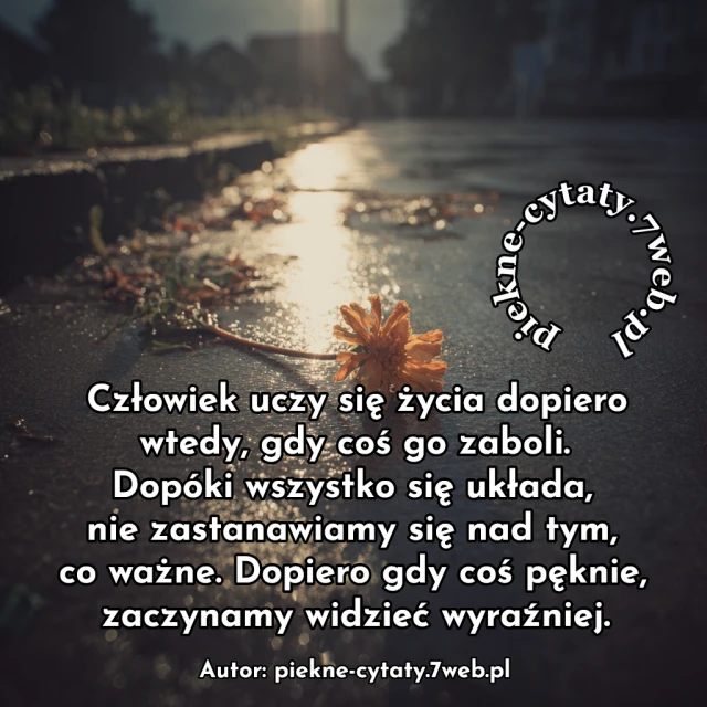 Człowiek uczy się życia dopiero wtedy, gdy coś go zaboli. Dopóki wszystko się układa, nie zastanawiamy się nad tym, co ważne. Dopiero gdy coś pęknie, zaczynamy widzieć wyraźniej.