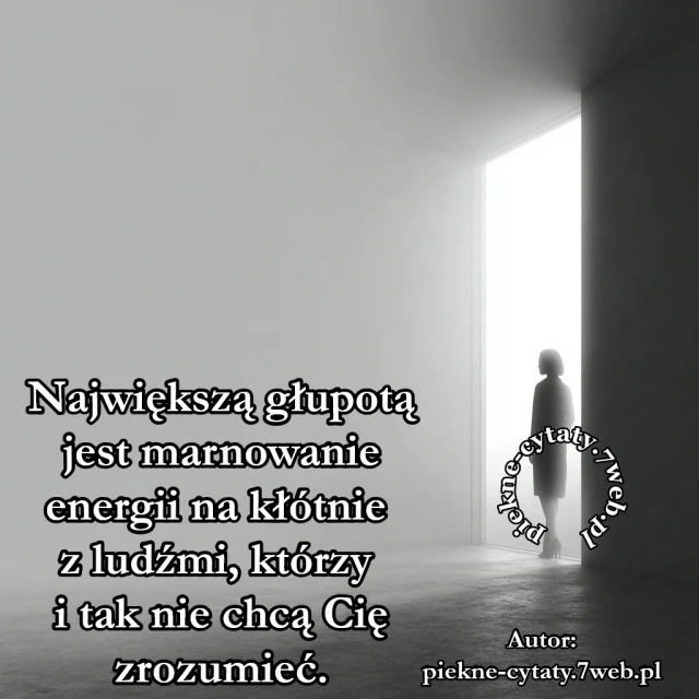 Największą głupotą jest marnowanie energii na kłótnie z ludźmi, którzy i tak nie chcą Cię zrozumieć.